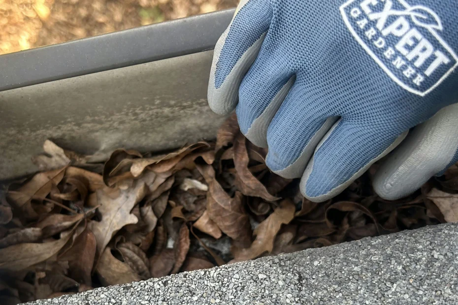 Gutter Cleaning Reisterstown