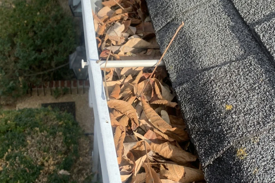 Gutter Cleaning Reisterstown