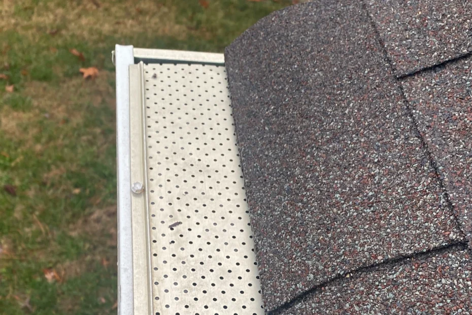 Gutter Cleaning Reisterstown