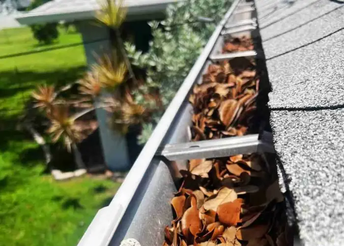 Gutter Cleaning Reisterstown home page